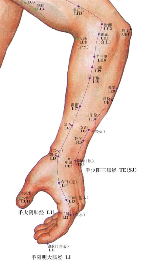 上廉穴|上廉